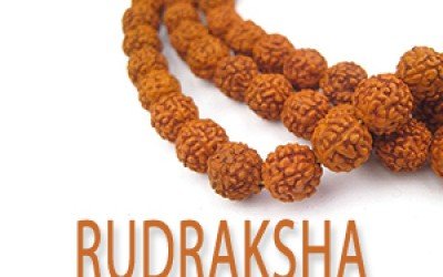 Benefits Of Rudraksha