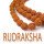 Benefits Of Rudraksha