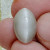 Cats Eye