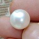 Natural Pearl 9.88 Carat / 10.67 Ratti