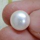 Natural Pearl 10.70 Carat / 11.55 Ratti