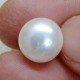 Natural Pearl 10.70 Carat / 11.55 Ratti