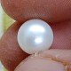 Natural Pearl 4.86 Carat / 5.24 Ratti