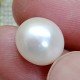 Natural Pearl 8.90 Carat / 9.61 Ratti