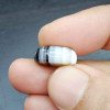 Sulemani Hakik 11.04 Carat / 11.92 Ratti