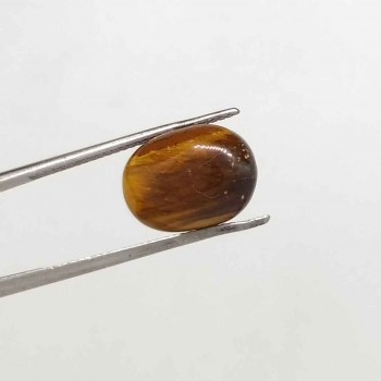 Tiger Stone 7.31 Carat / 7.89 Ratti
