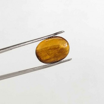 Tiger Stone 7.31 Carat / 7.89 Ratti