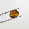 Tiger Stone 6.43 Carat / 6.94 Ratti