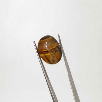 Tiger Stone 10.49 Carat / 11.32 Ratti