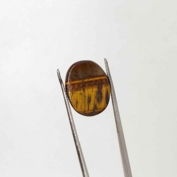Tiger Stone 10.49 Carat / 11.32 Ratti