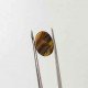 Tiger Stone 3.31 Carat / 3.57 Ratti