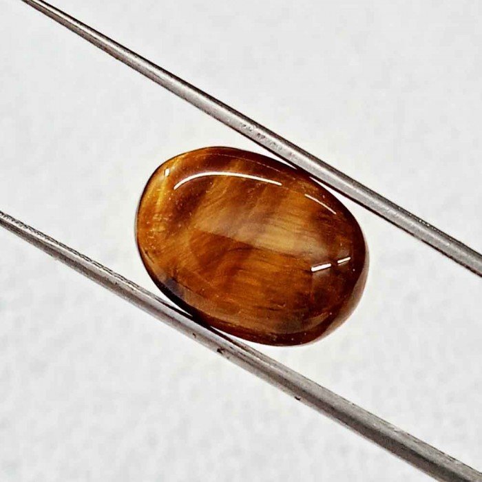 Tiger Stone 6.69 Carat / 7.22 Ratti