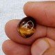 Tiger Stone 7.68 Carat / 8.29 Ratti