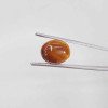 Tiger Stone 6.60 Carat / 7.12 Ratti