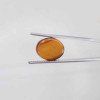 Tiger Stone 6.60 Carat / 7.12 Ratti