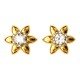 Gold Studs Earring
