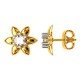 Gold Studs Earring