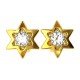 Star American Diamond Earring