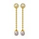Changeable Gold Drop Earrings