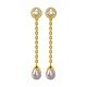 Changeable Gold Drop Earrings