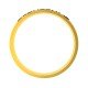 Capricorn Zodiac Sign Ring