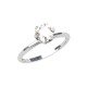 American Diamond Solitaire Ring Men and Women