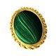 Malachite Gold Earring