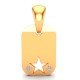 Star Pendant