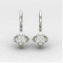 Silver Hoop Earring