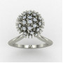 Globe Silver Ring