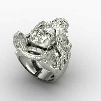 Shyam Sadashiv Silver Ring